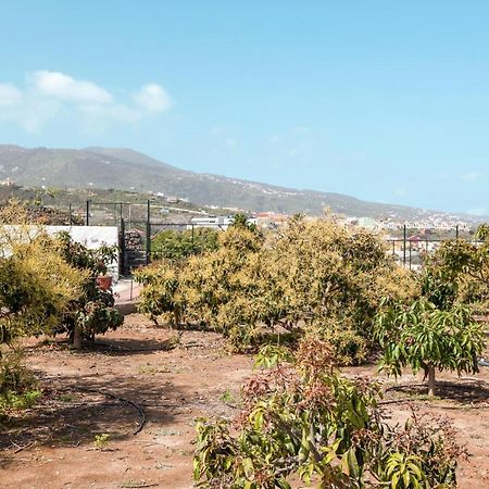Casa Quemahierro 2 Villa Icod De Los Vinos Dış mekan fotoğraf
