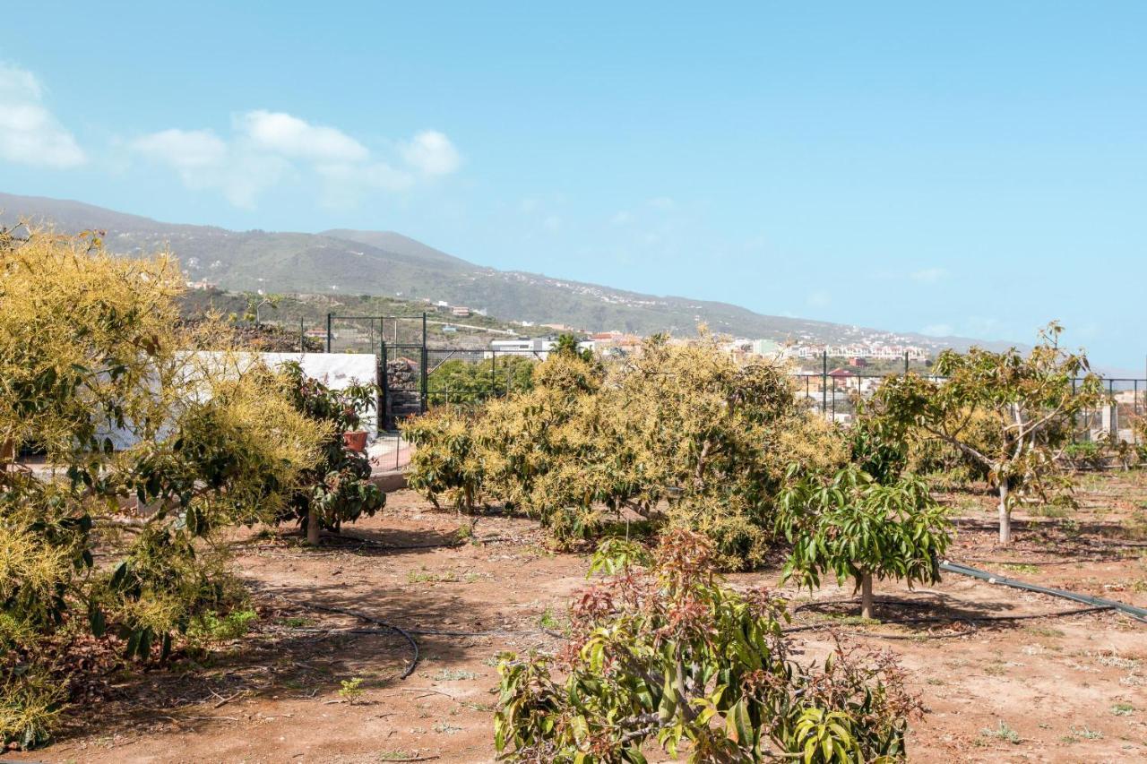 Casa Quemahierro 2 Villa Icod De Los Vinos Dış mekan fotoğraf